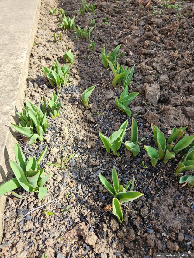 Первая весенняя прогулка — Куклы Gotz (Готц): Ханна (фото 10)