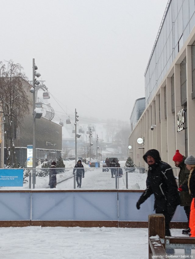 Настоящая зима — Азиатские виниловые куклы (разное): Китай