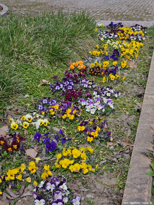 Первая весенняя прогулка — Куклы Gotz (Готц): Ханна