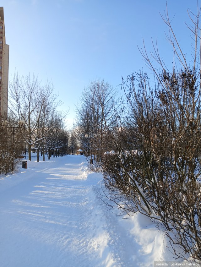 Настоящая зима — Азиатские виниловые куклы (разное): Китай