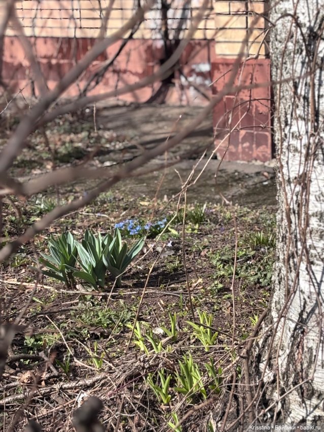 Играю в куклы 💗 — Домашние фото авторских кукол: личные коллекции (фото 5)