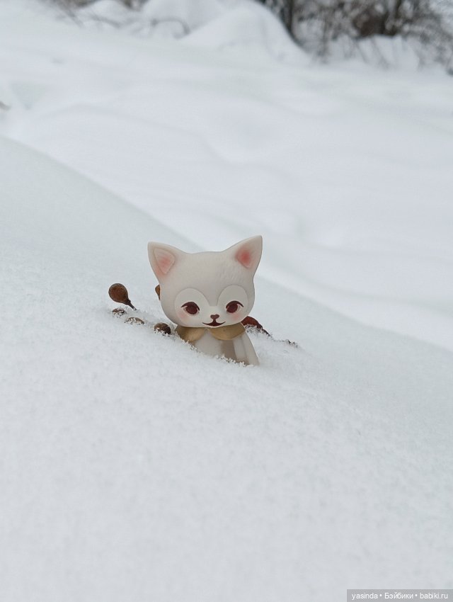 Настоящая зима — Азиатские виниловые куклы (разное): Китай