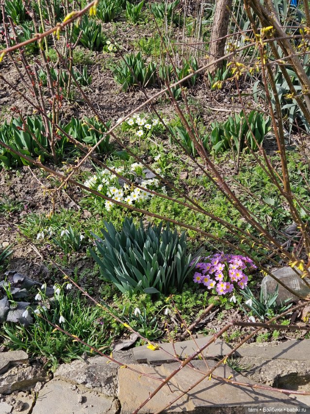 Первая весенняя прогулка — Куклы Gotz (Готц): Ханна