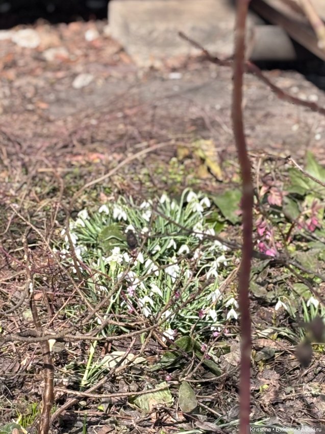 Играю в куклы 💗 — Домашние фото авторских кукол: личные коллекции (фото 4)