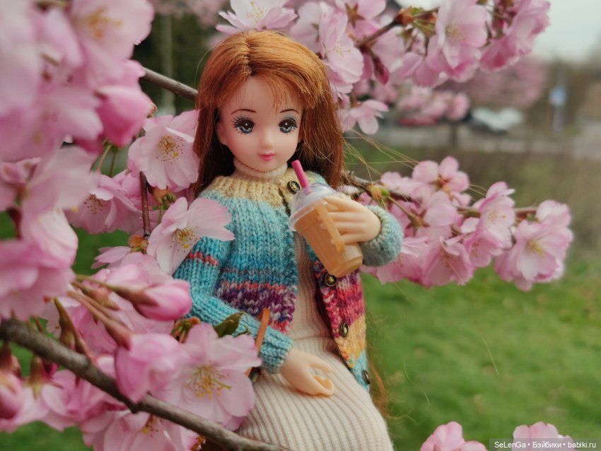 Сакура цветет — Куклы Takara Tomy (Такара): Licca (Ликка)