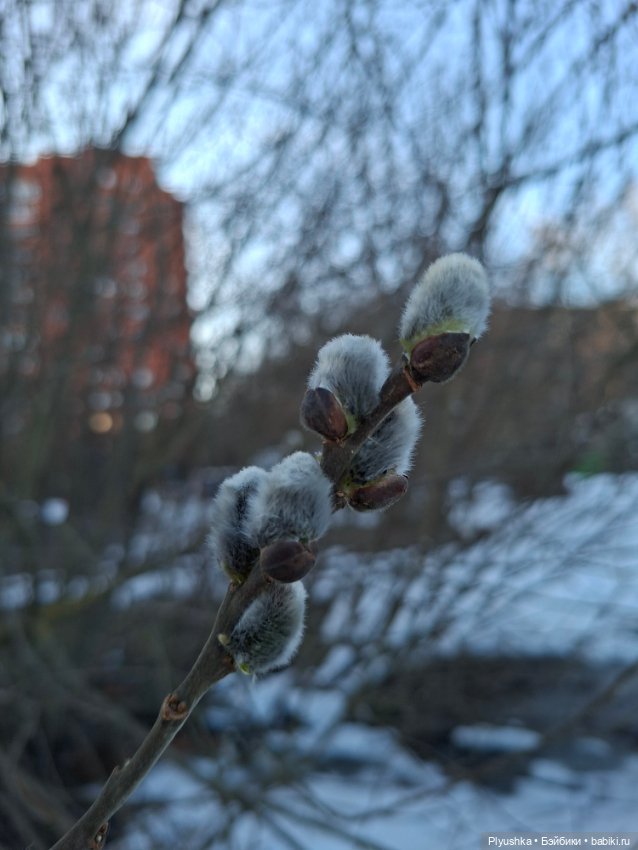 Весна, подснежники, Бабл — Разные шарнирные куклы (не БЖД): редкие (фото 2)