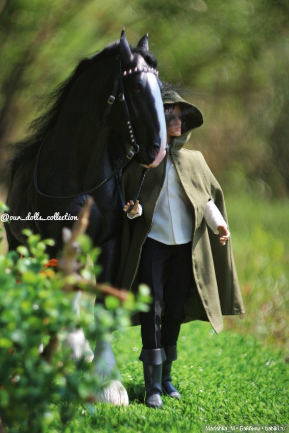 Новый заказ — Кукольные фотоистории и сериалы: комиксы