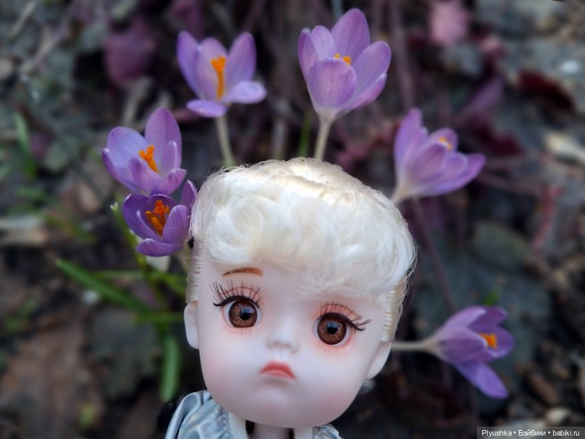 Весна, подснежники, Бабл — Разные шарнирные куклы (не БЖД): редкие
