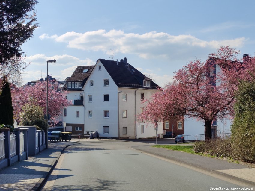 Сакура цветет — Куклы Takara Tomy (Такара): Licca (Ликка) (фото 3)