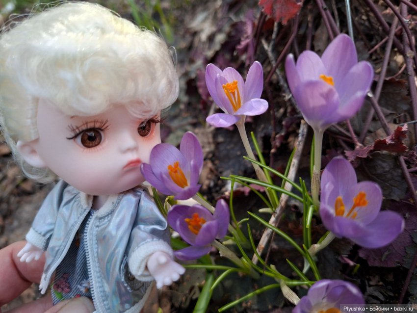 Весна, подснежники, Бабл — Разные шарнирные куклы (не БЖД): редкие