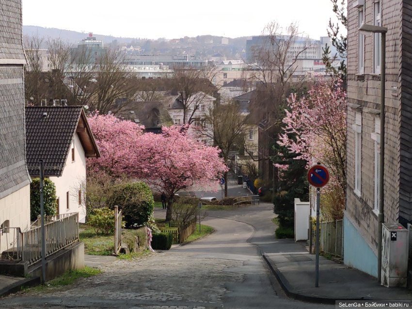 Сакура цветет — Куклы Takara Tomy (Такара): Licca (Ликка)