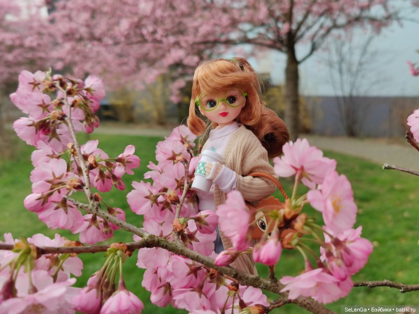 Сакура цветет — Куклы Takara Tomy (Такара): Licca (Ликка)