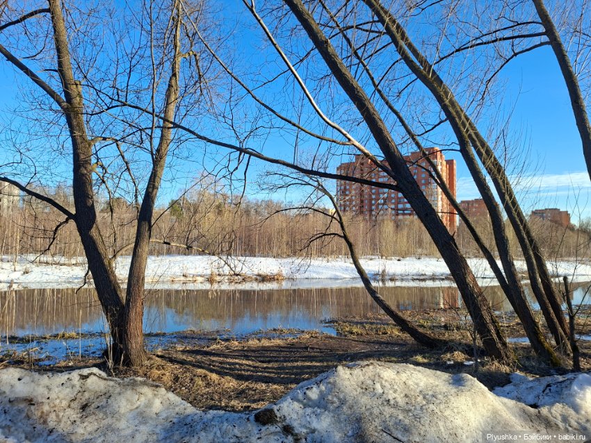Весна, подснежники, Бабл — Разные шарнирные куклы (не БЖД): редкие (фото 4)