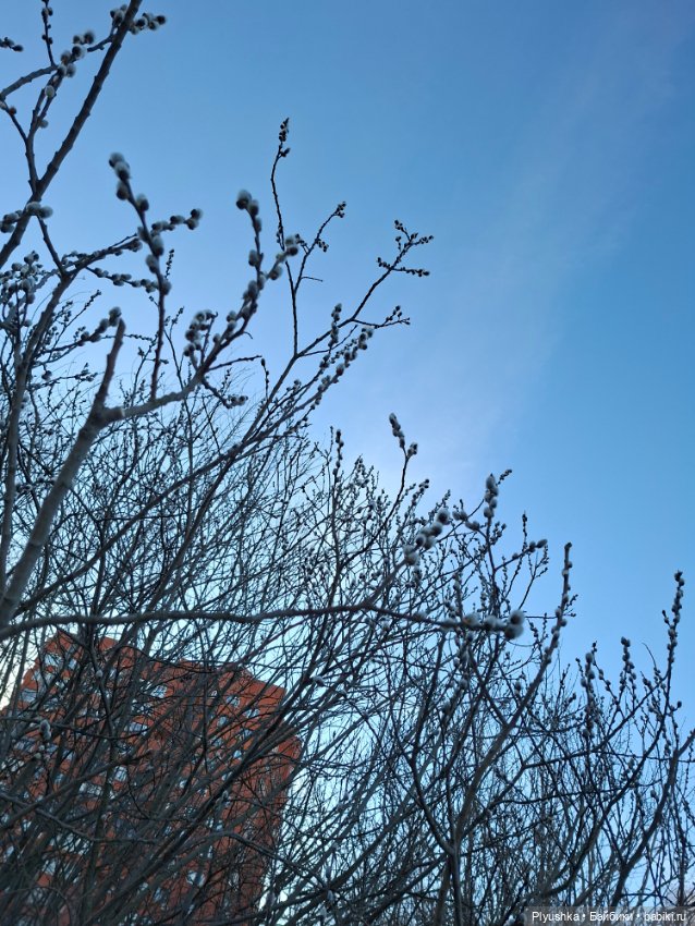 Весна, подснежники, Бабл — Разные шарнирные куклы (не БЖД): редкие