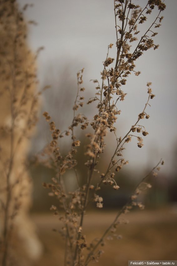 Сумка ,вдохновение Pinterest и Каморра