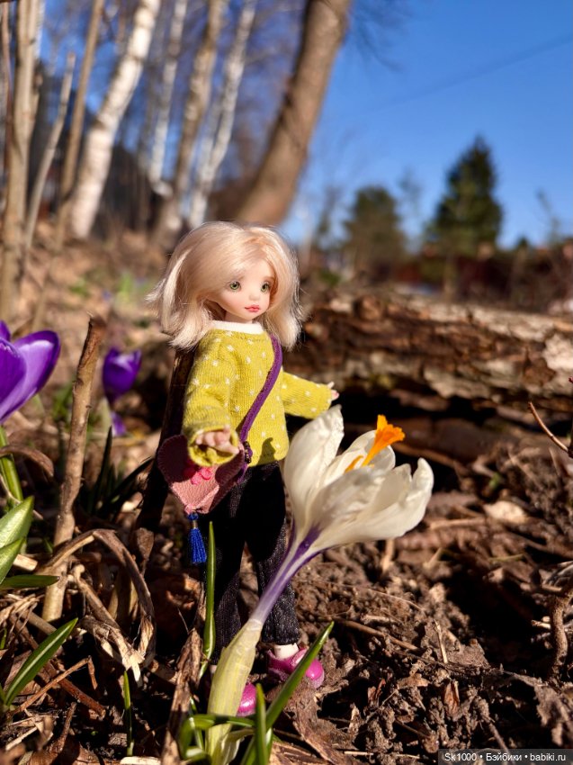 На поиски первоцветов с эльфочкой (от Инны Павловой)