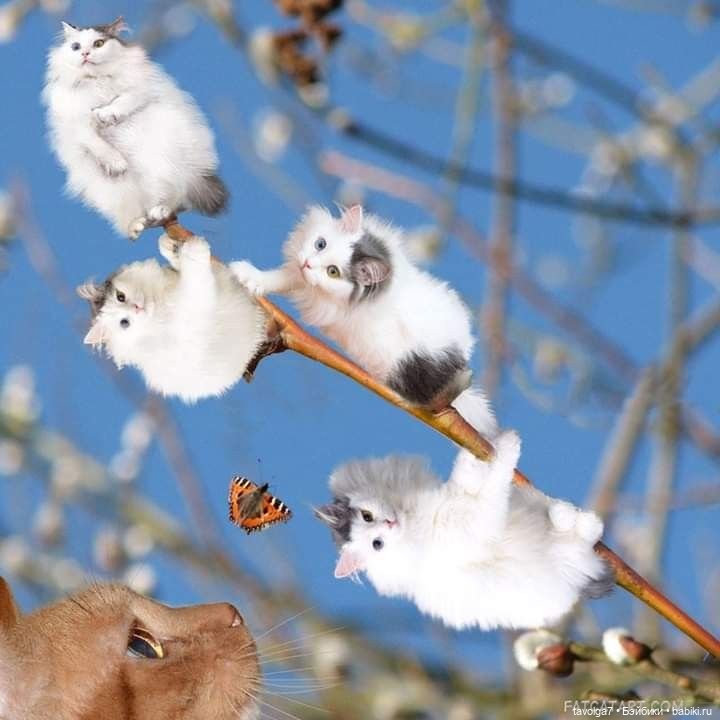 Верба - котики, вышивка, винтажные открытки