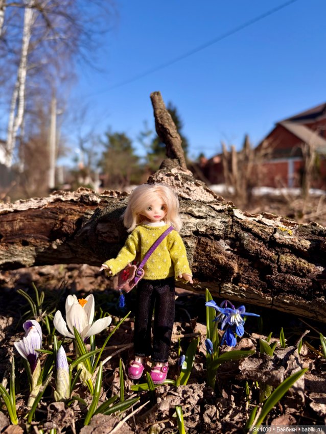 На поиски первоцветов с эльфочкой (от Инны Павловой)