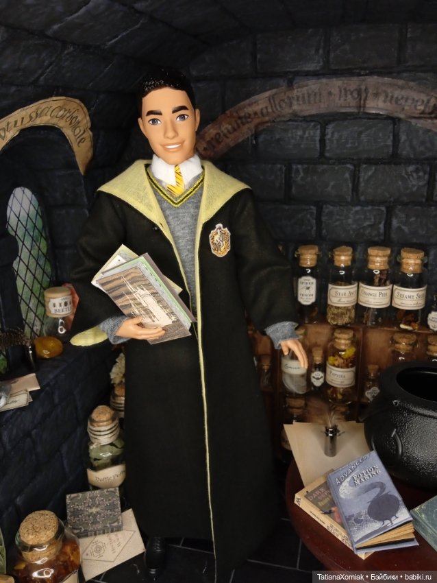 Кабинет мастера зельеварения (фото 4)