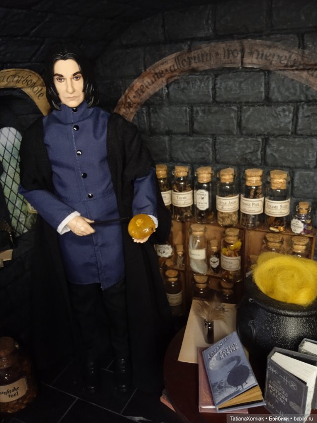 Кабинет мастера зельеварения