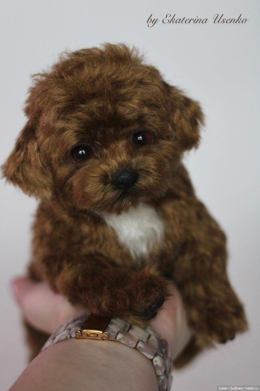 Интервью с мастером авторских игрушек - Екатериной Усенко