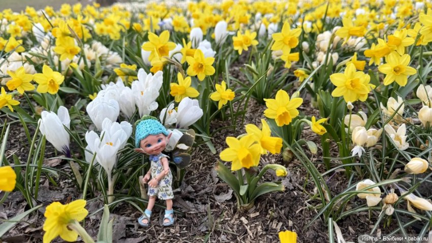 Фото с выходных: кукловстреча, Зарядье