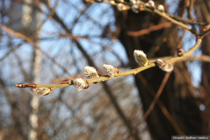 Весенняя прогулка 🖤❤️ — Куклы Landoudou и Birdie: Дизайнерский винил (фото 8)