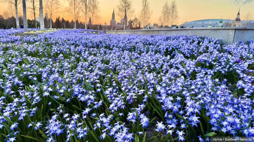 Фото с выходных: кукловстреча, Зарядье
