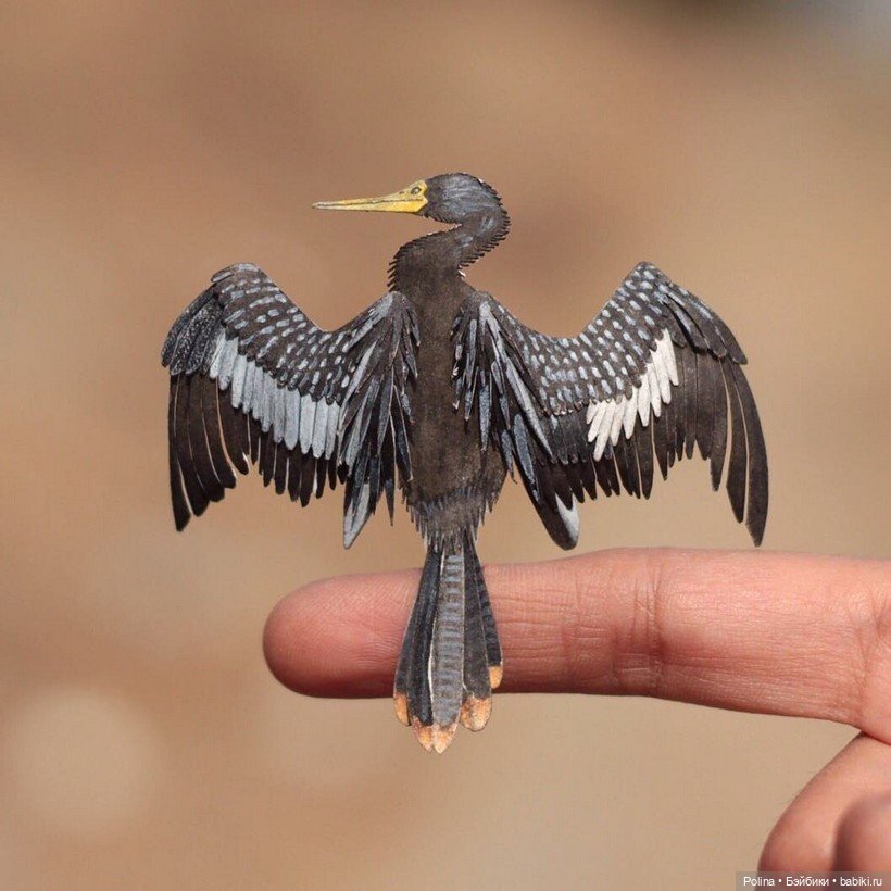 Ювелирная стая из бумаги: микро-шедевры Наяны Шримали и Венеры Берд