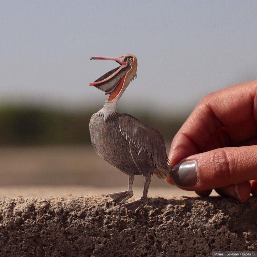 Ювелирная стая из бумаги: микро-шедевры Наяны Шримали и Венеры Берд