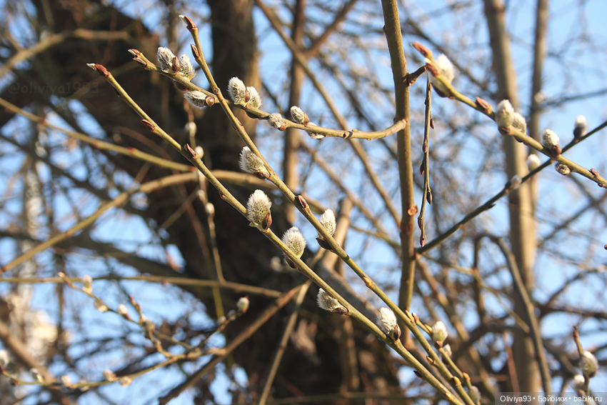 Весенняя прогулка 🖤❤️ — Куклы Landoudou и Birdie: Дизайнерский винил (фото 7)