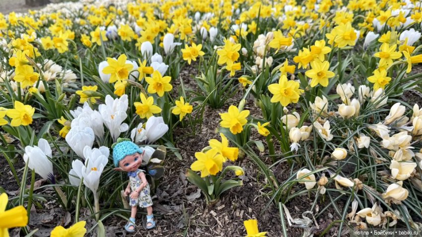 Фото с выходных: кукловстреча, Зарядье