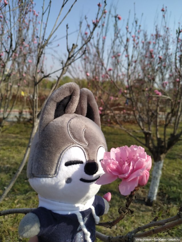 Нежное весеннее с настроение с Вольф Чани (фото 5)