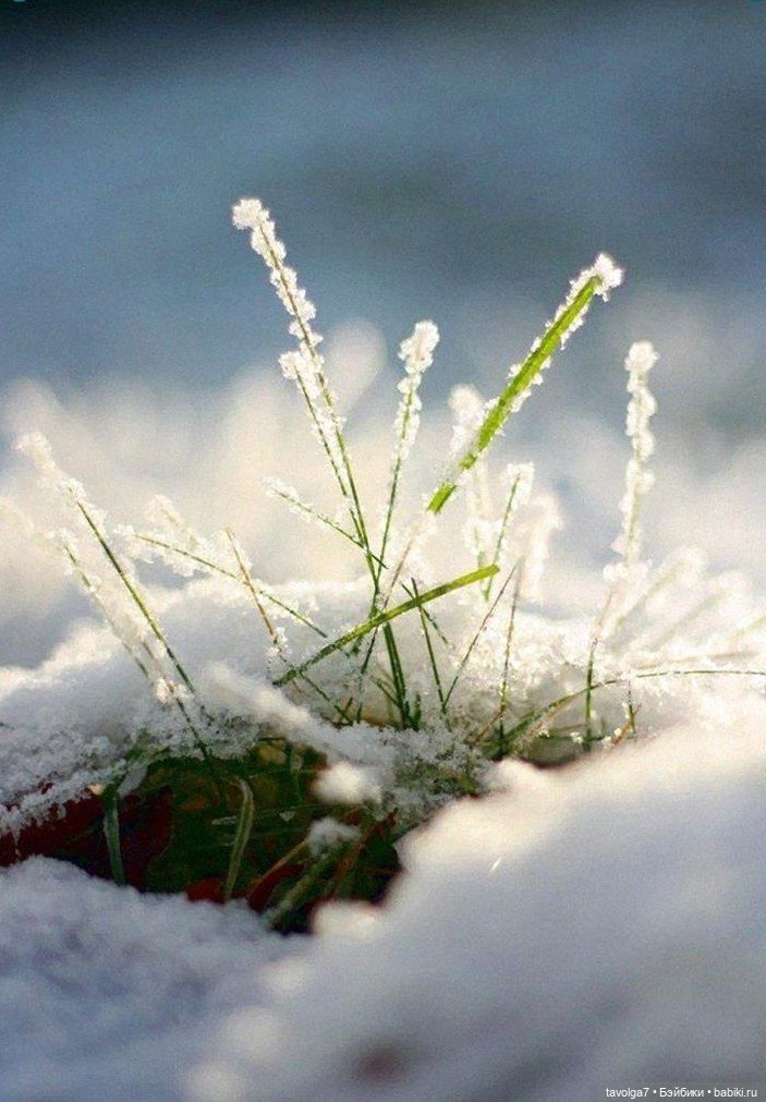 Март - цвет как категория прозрачности