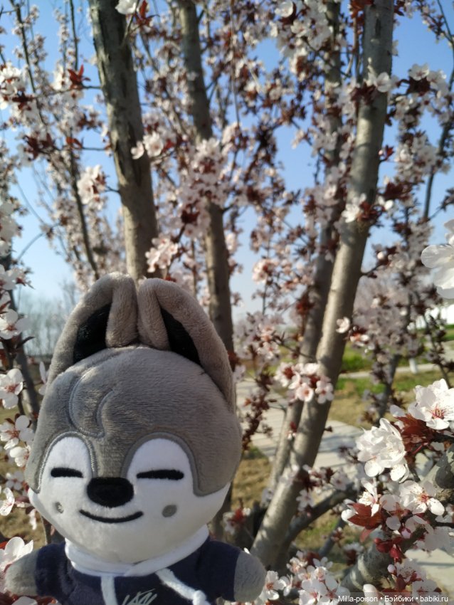 Нежное весеннее с настроение с Вольф Чани