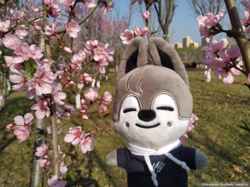 Нежное весеннее с настроение с Вольф Чани (фото 7)