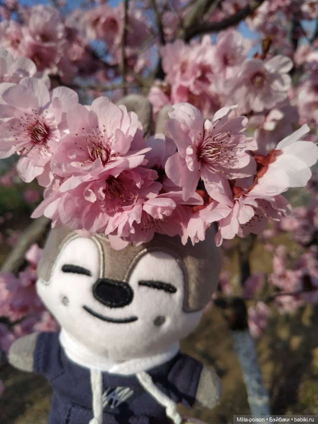 Нежное весеннее с настроение с Вольф Чани