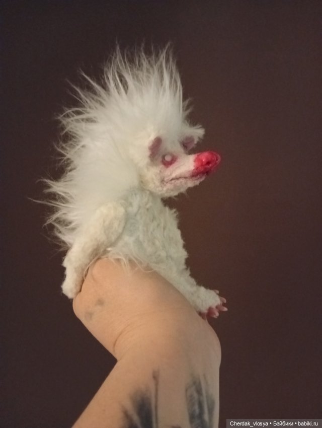 Ёжик Тедди из серии Гаденыш и гриб. Ждет своего хозяина🥰