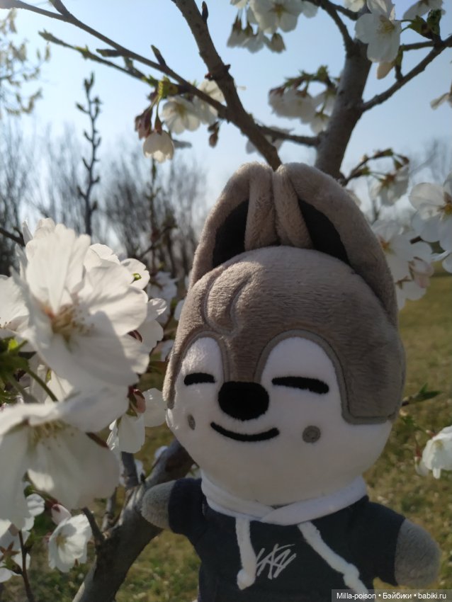 Нежное весеннее с настроение с Вольф Чани (фото 2)