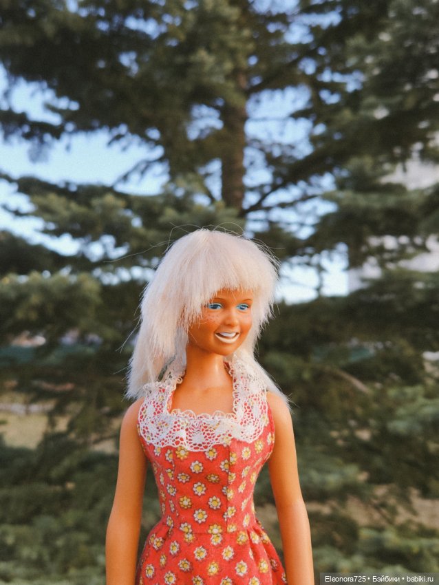 Дасти на прогулке — Игровые куклы разных производителей (Разное): редкие бренды (фото 7)