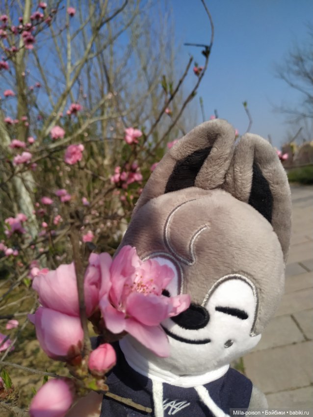 Нежное весеннее с настроение с Вольф Чани (фото 10)