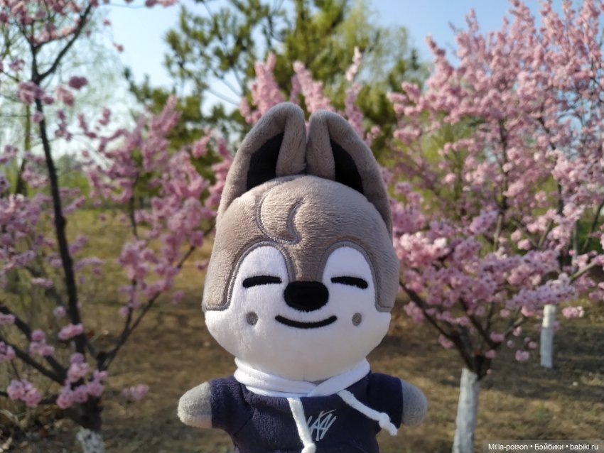 Нежное весеннее с настроение с Вольф Чани