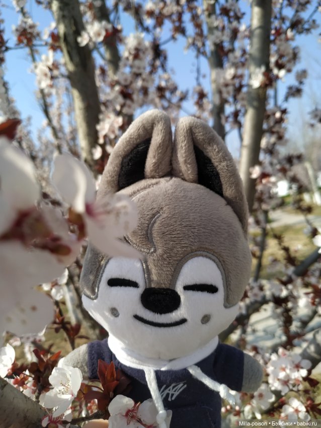 Нежное весеннее с настроение с Вольф Чани