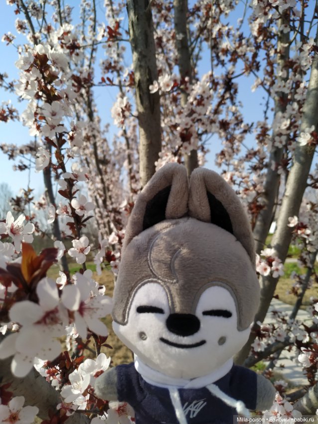 Нежное весеннее с настроение с Вольф Чани