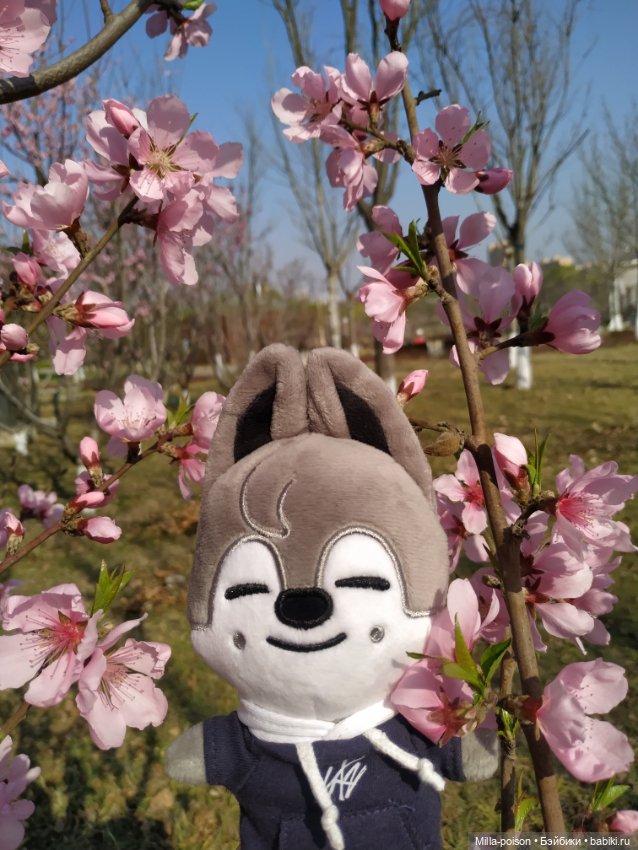 Нежное весеннее с настроение с Вольф Чани (фото 8)