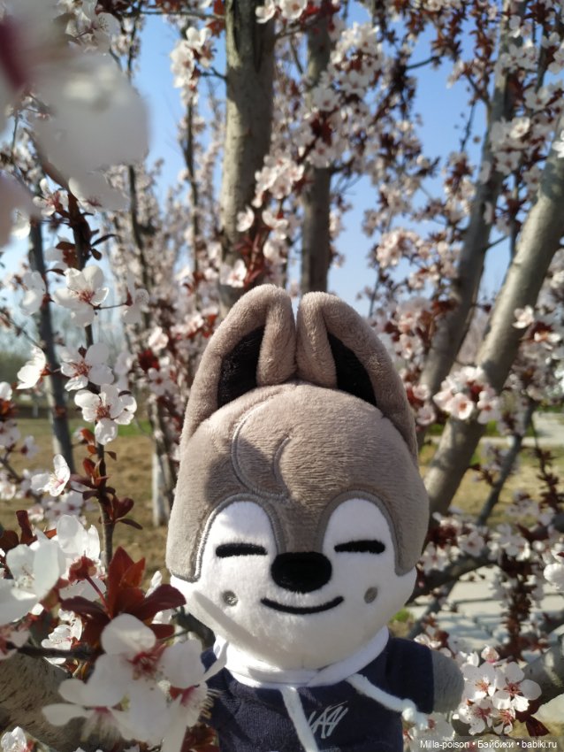 Нежное весеннее с настроение с Вольф Чани