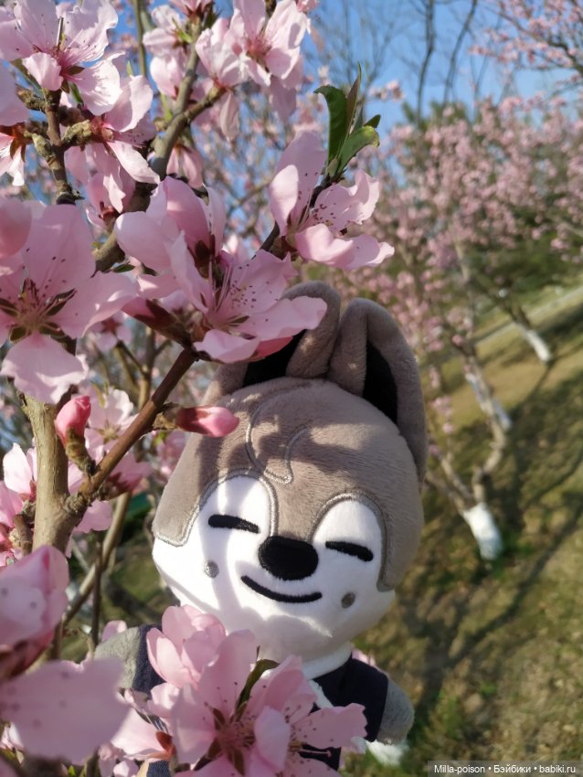 Нежное весеннее с настроение с Вольф Чани (фото 9)