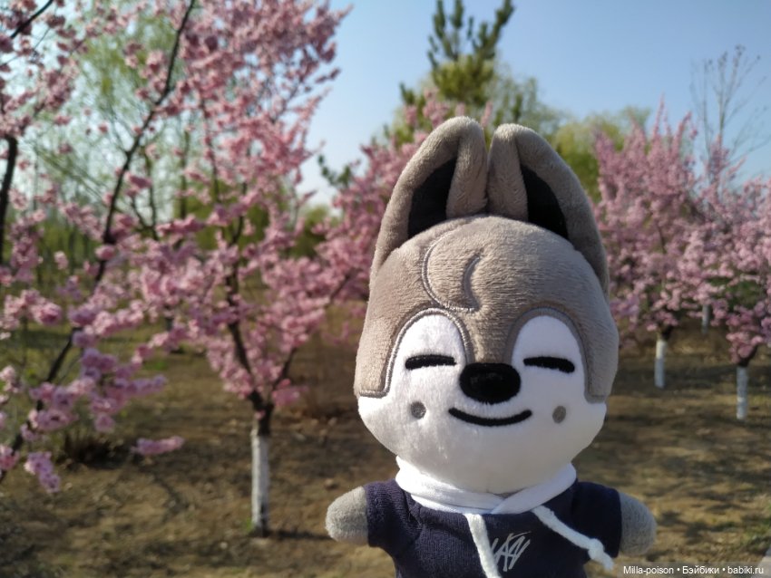 Нежное весеннее с настроение с Вольф Чани