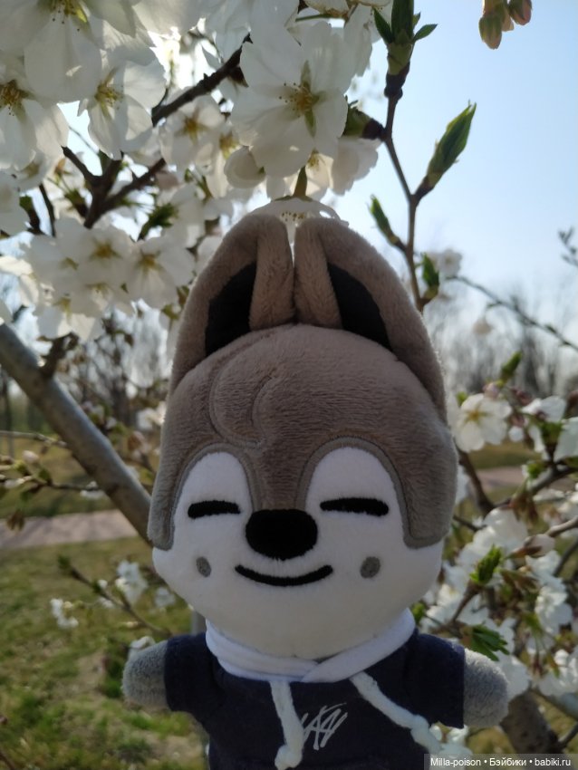 Нежное весеннее с настроение с Вольф Чани