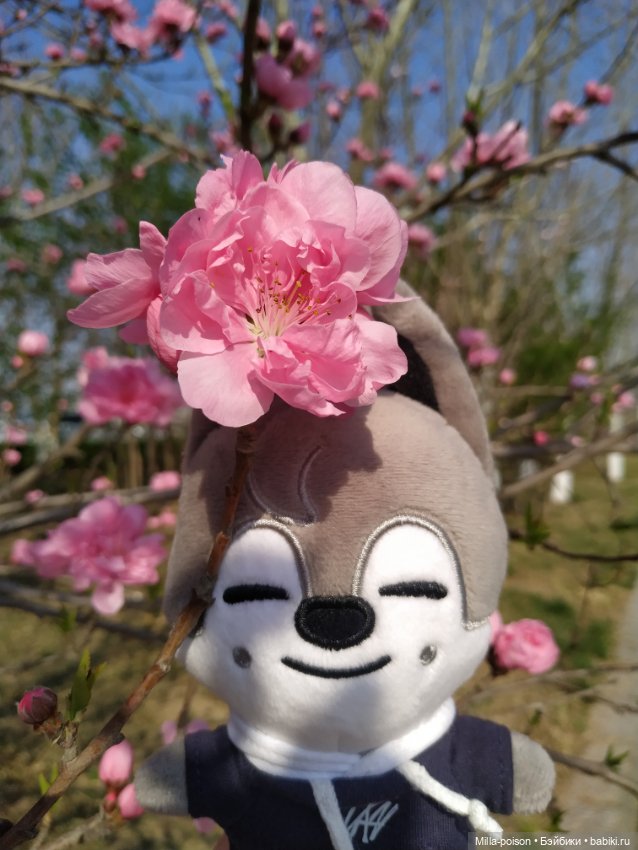 Нежное весеннее с настроение с Вольф Чани